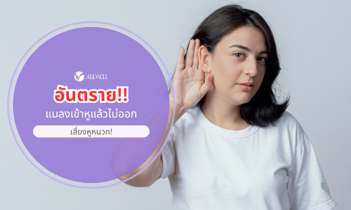 แมลงเข้าหู