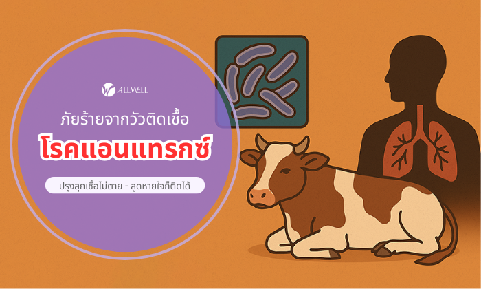 โรคแอนแทรกซ์