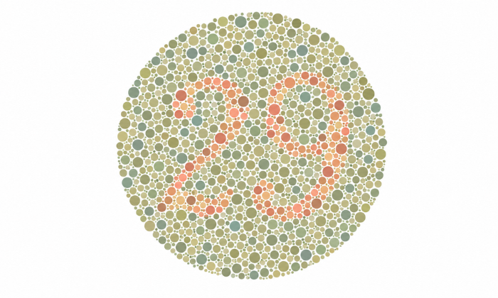 แบบทดสอบตาบอดสีแดงเขียวเลข 29