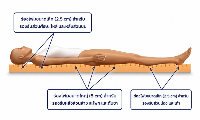 ที่นอนลดแรงกดทับ