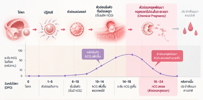 Chemical Pregnancy