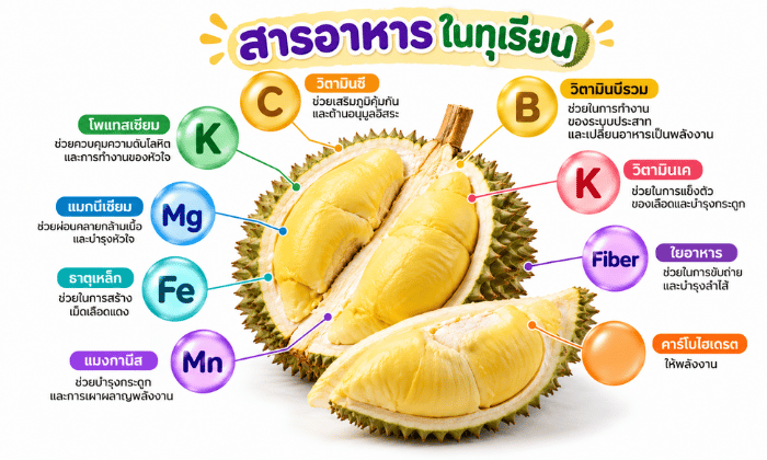 สารอาหารในทุเรียน