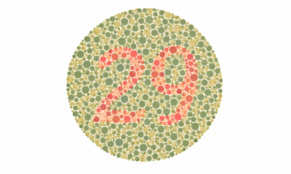เลข 29