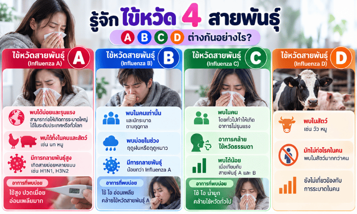 ไข้หวัด 4 สายพันธุ์