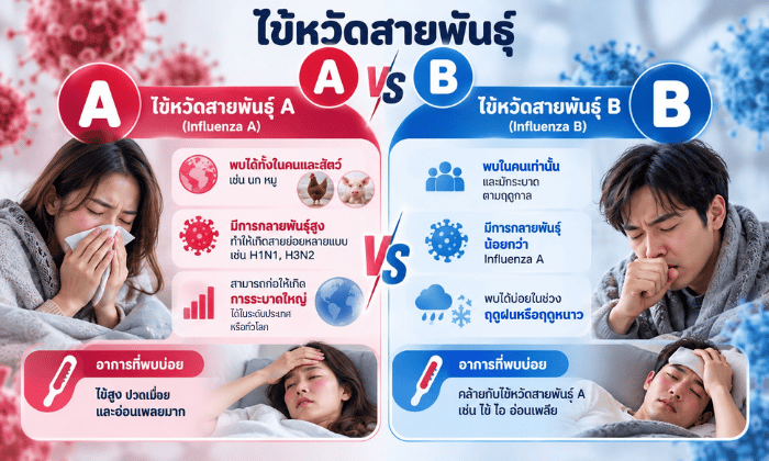 ไข้หวัดสายพันธุ์ A B